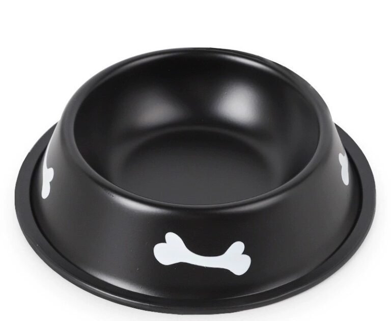 Color-Coated Stainless Steel Pet Bowl with Bone Print | Wholesale