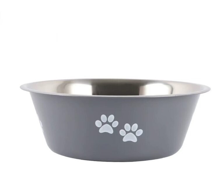 Printed 201 Stainless Steel Dog Bowl with Silicone Non-Slip Base